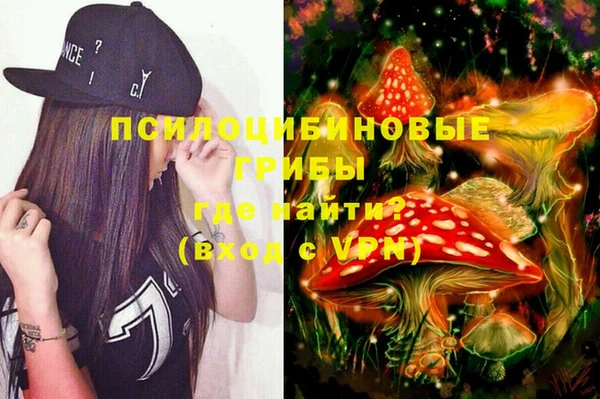 дмт Дмитровск