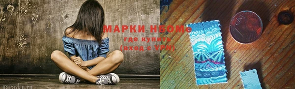 mdpv Вяземский