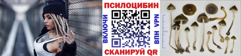 Псилоцибиновые грибы Cubensis  Джанкой 