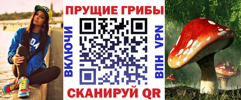 Псилоцибиновые грибы ЛСД Джанкой